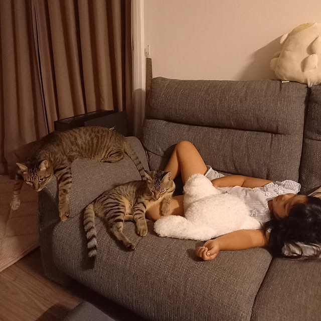 p-p-maruさんの実例写真