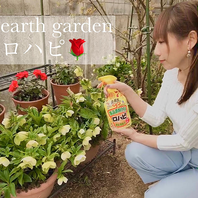 momotakumamaさんの実例写真