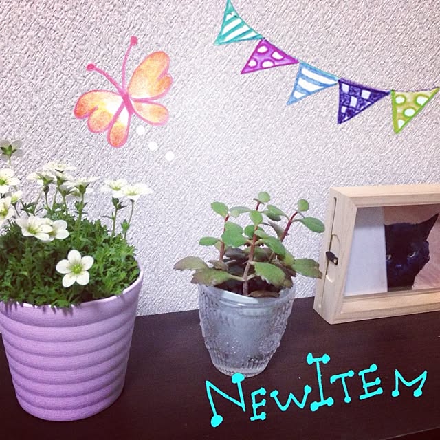 Marikoさんの部屋