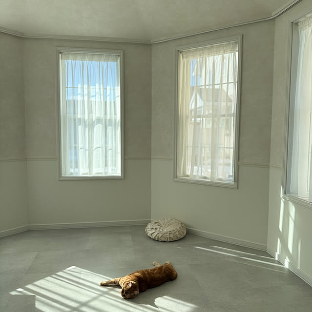 m623さんの実例写真