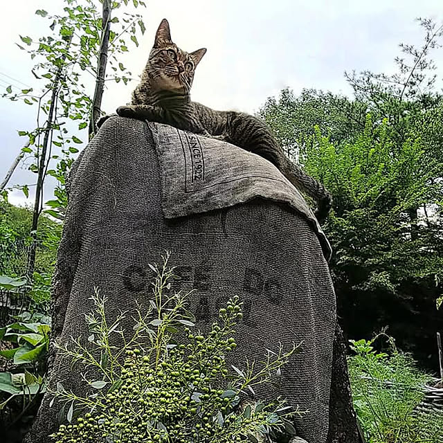 weさんの実例写真