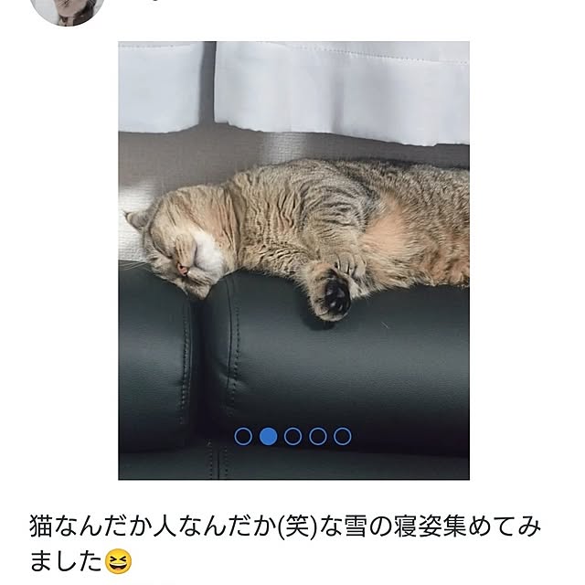 noguriさんの部屋