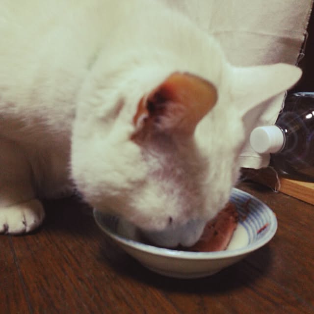 kamechanさんの実例写真