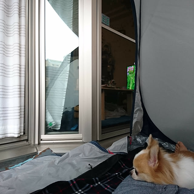 porinさんの実例写真