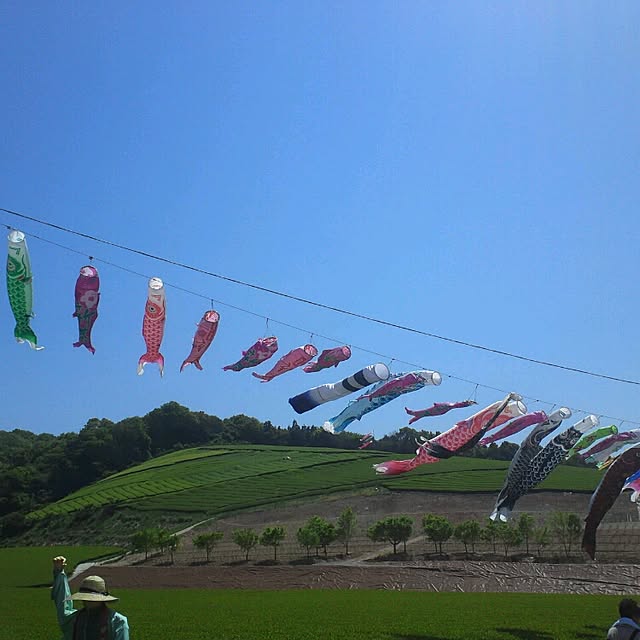 takaさんの実例写真