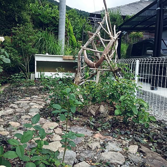pepeさんの実例写真