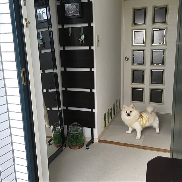 Doraさんの実例写真