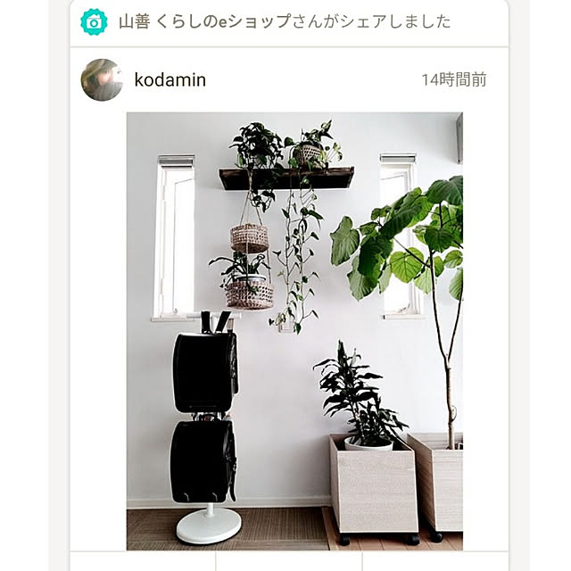 kodaminさんの実例写真