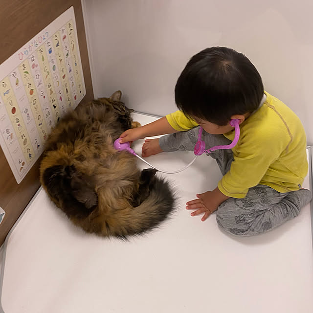 mikomaruさんの実例写真