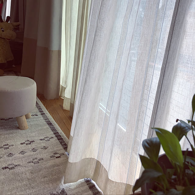 ikuさんの実例写真
