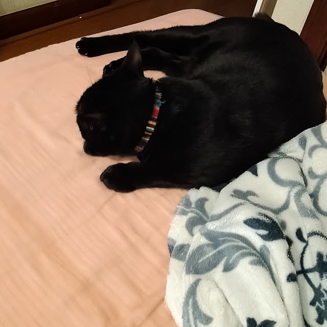 Tさんの実例写真