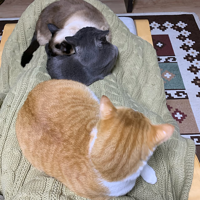 73さんの実例写真