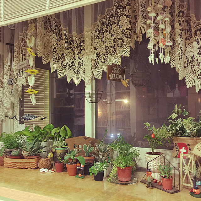 部屋全体/観葉植物/多肉植物/雑貨/ダイソーのインテリア実例 - 2017-09-23 23:46:15
