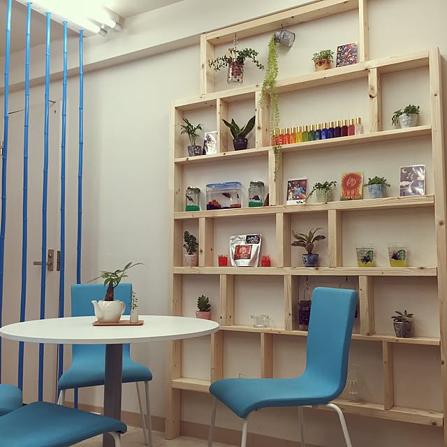 部屋全体/多肉植物/ガーデニング/カフェ風/観葉植物...などのインテリア実例 - 2015-10-03 23:23:21