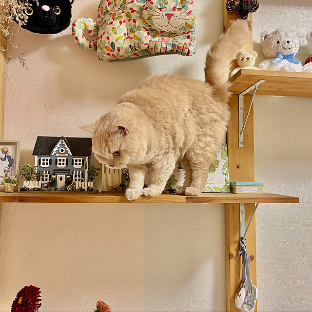 naokoさんの部屋