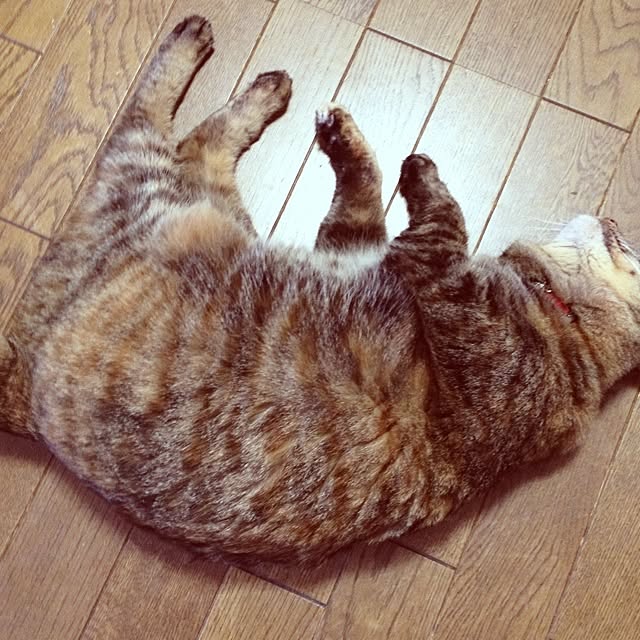 kmstmさんの実例写真