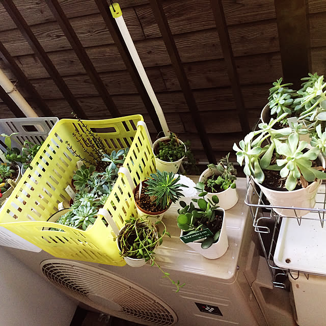 kuさんの実例写真