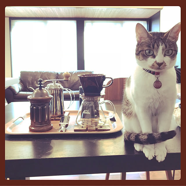 nsugi0710さんの実例写真