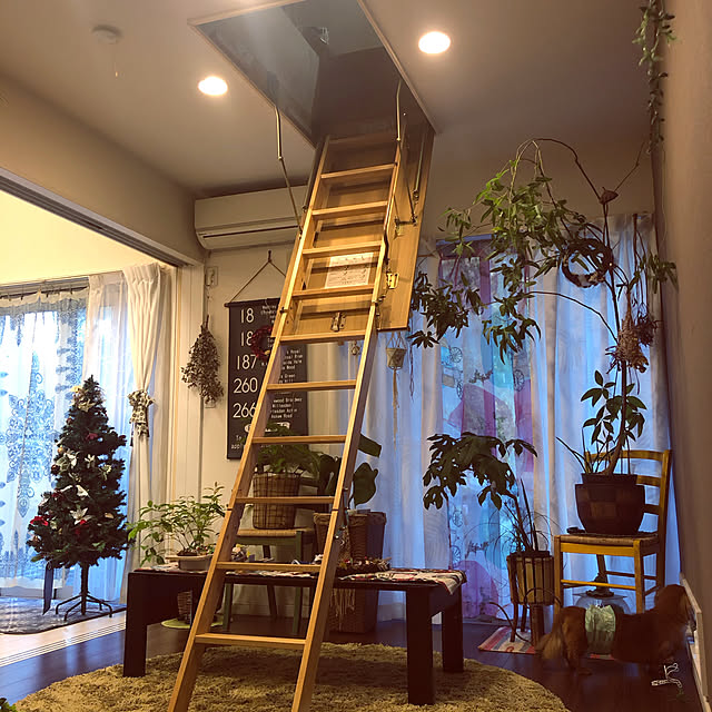 noma--1202さんの実例写真