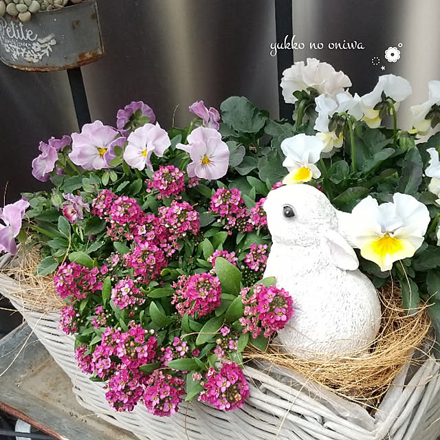yukkoさんの実例写真