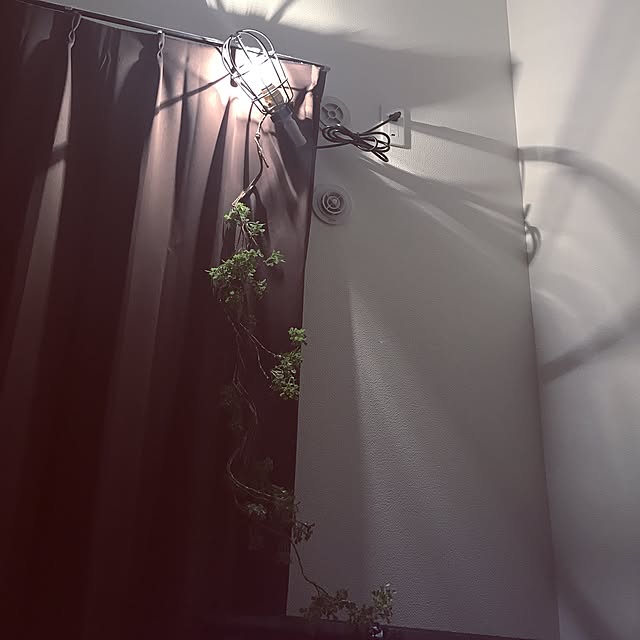 Daisukeさんの実例写真