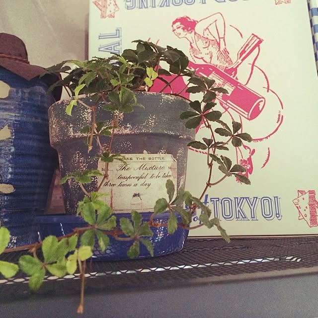 m2ht2n_bestfriendsさんの実例写真