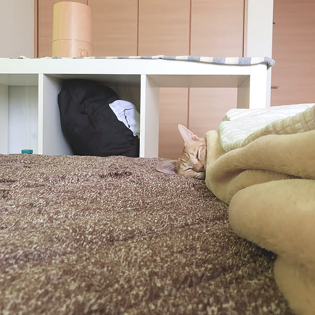 kinokoさんの実例写真