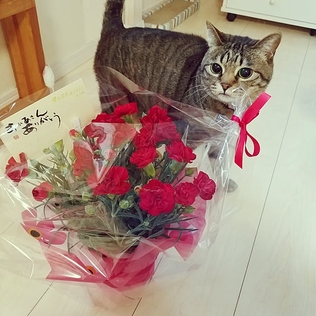 t-famさんの実例写真