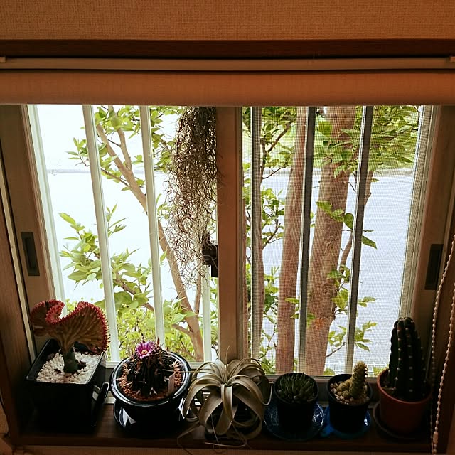 Hideakinakataniさんの実例写真