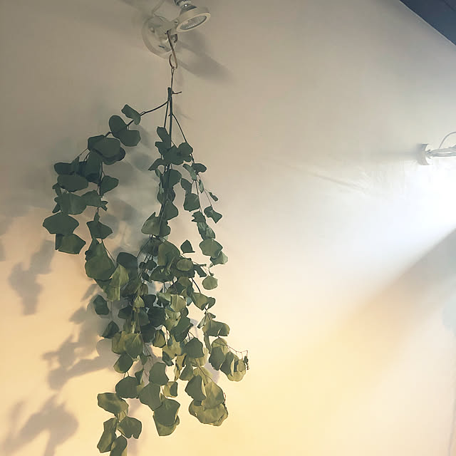 treehouseさんの実例写真