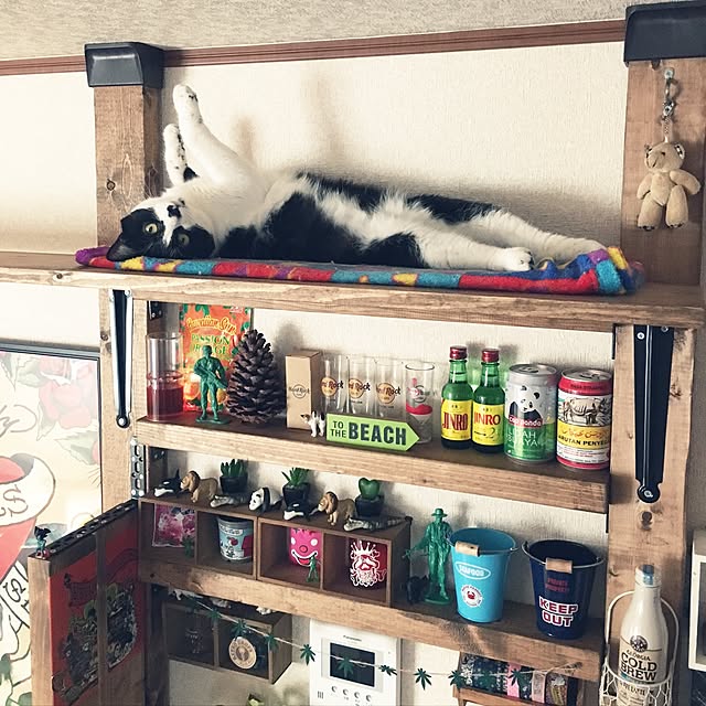 mari23さんの実例写真