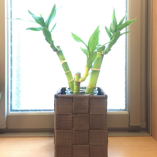 hiro3さんの実例写真