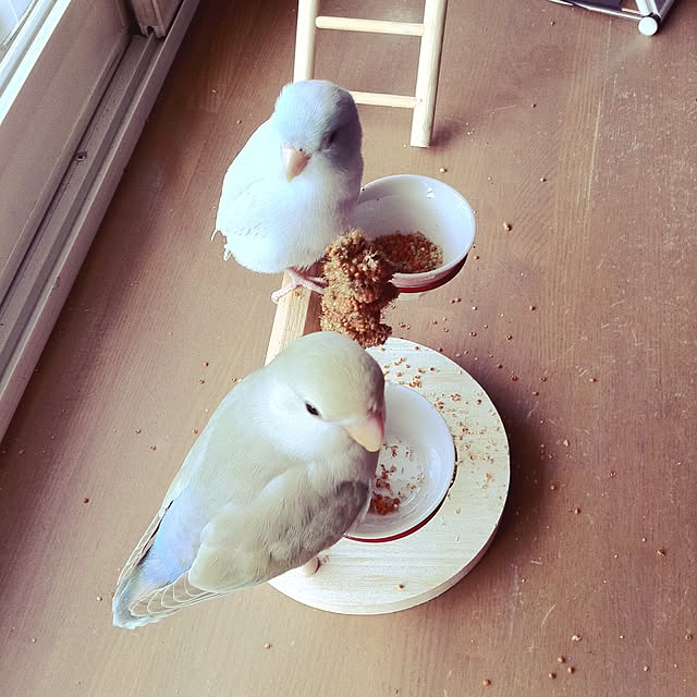 Katsumi.t100さんの実例写真