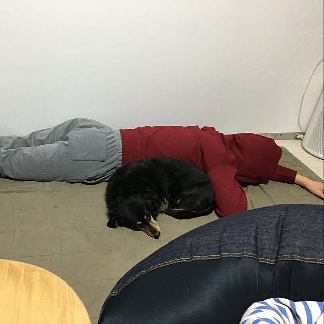 ohanaさんの実例写真
