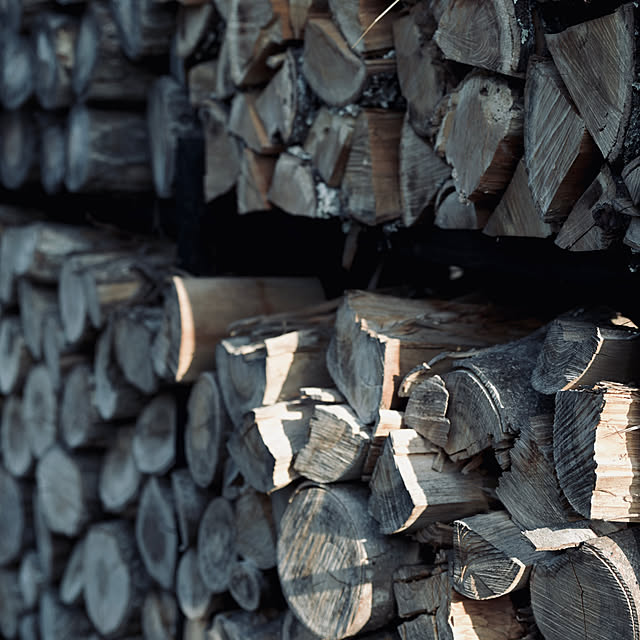 yaneuraさんの部屋