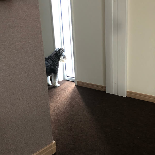 ainさんの実例写真