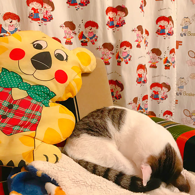 meさんの実例写真