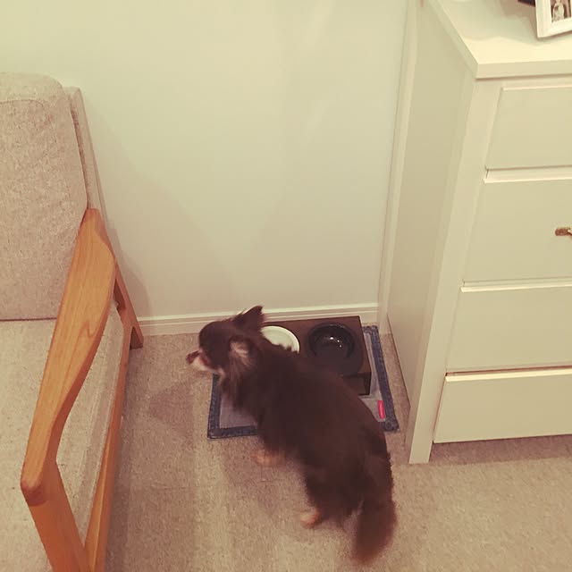 makiさんの実例写真