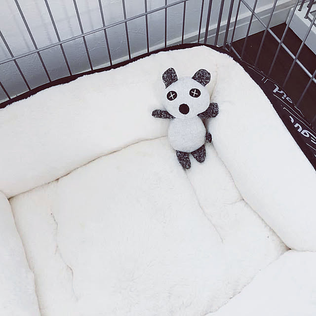 pimoさんの部屋