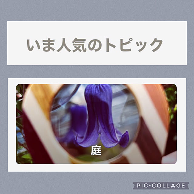 Mikiさんの実例写真
