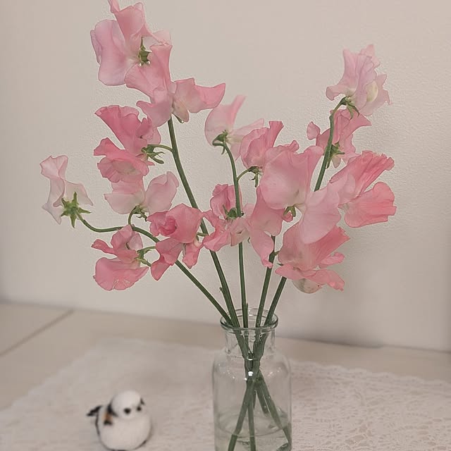 necoさんの部屋