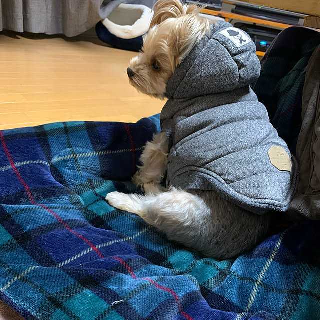 marcheさんの実例写真