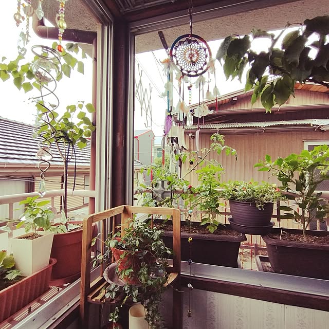 rainbowmakoさんの実例写真