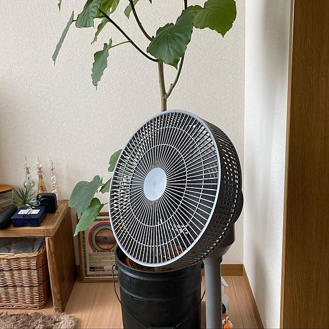 yokoさんの実例写真