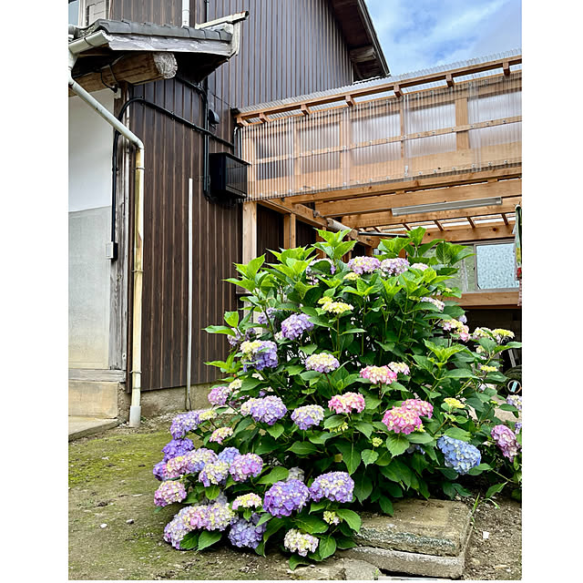 cotaさんの部屋