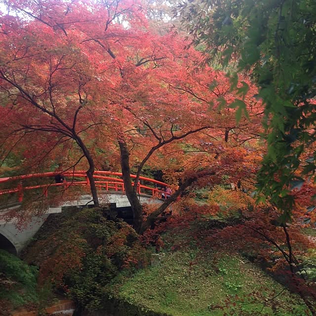 Hirotoshiさんの実例写真