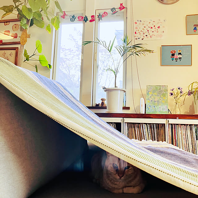 tomorinさんの部屋