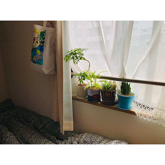 parrotさんの実例写真