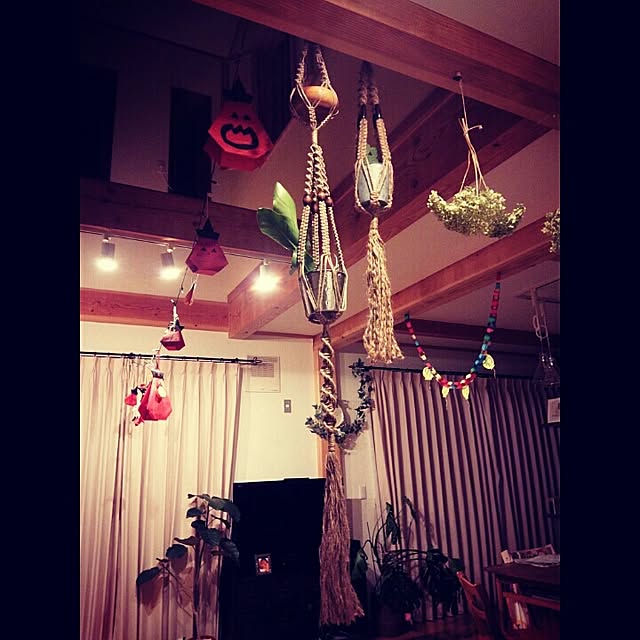 coKoさんの実例写真