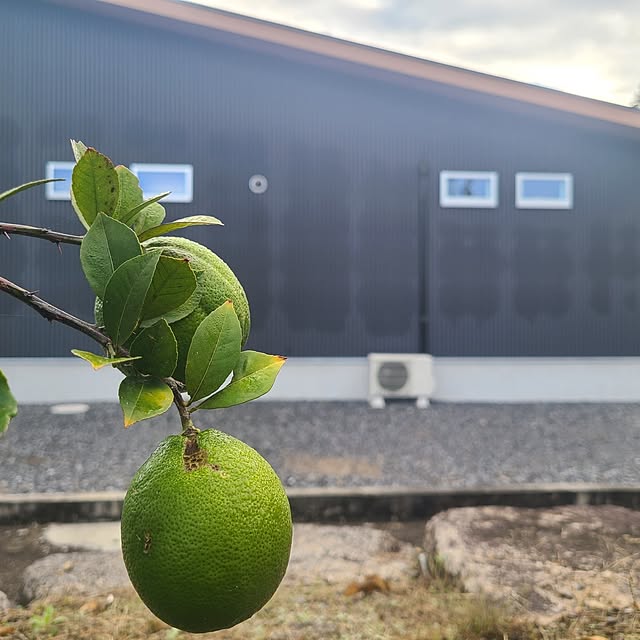 Rubiconさんの実例写真